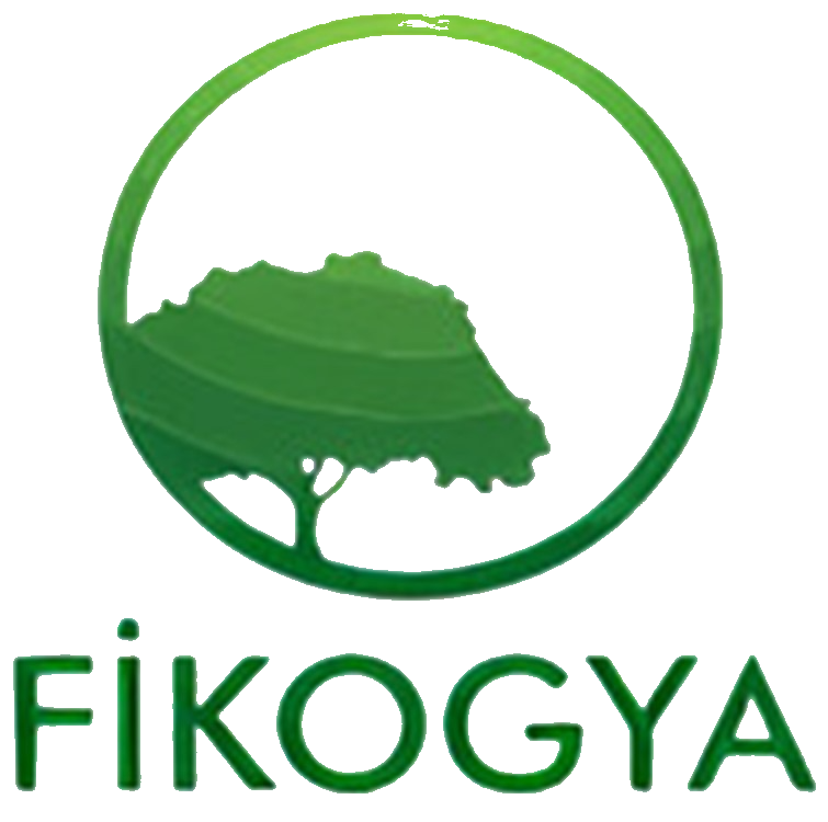 fikogya-logo